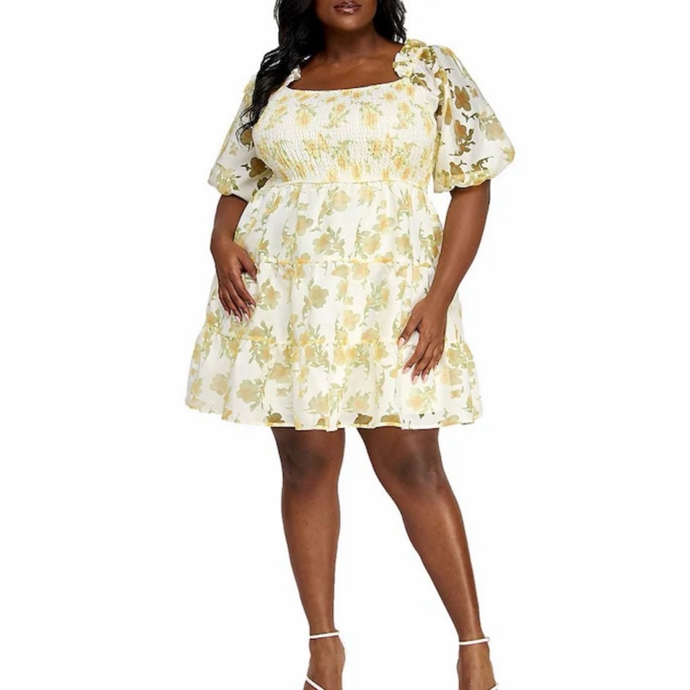 NWT Layered With Love Floral Burnout Smocked Tiered Plus Mini Dress Puff Sleeve